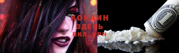 стаф Абаза