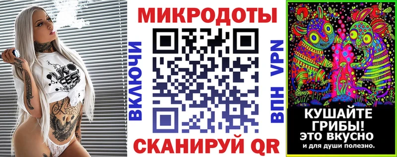 купить   Каменка  Галлюциногенные грибы мицелий 
