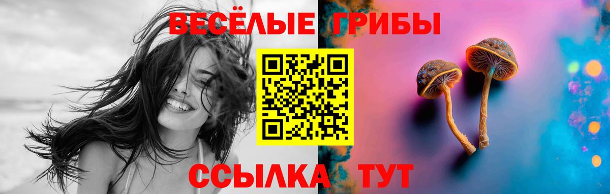 Псилоцибиновые грибы Psilocybe Каменка